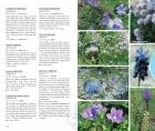 Vascular Plants of the Rhodopes - Photoguide