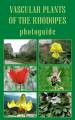 Vascular Plants of the Rhodopes - Photoguide