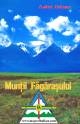 Hiking guide + map of Fagaras Mountains (Romanian Eddition)
